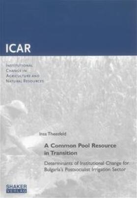 Theesfeld |  A Common Pool Resource in Transition | Buch |  Sack Fachmedien