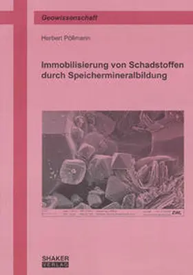 Pöllmann |  Immobilisierung von Schadstoffen durch Speichermineralbildung | Buch |  Sack Fachmedien