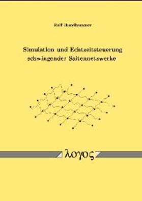 Hundhammer |  Simulation und Echtzeitsteuerung schwingender Saitennetzwerke | Buch |  Sack Fachmedien