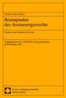 Pelzer |  Pelzer: Brennpunkte d. AtomenergieR | Buch |  Sack Fachmedien