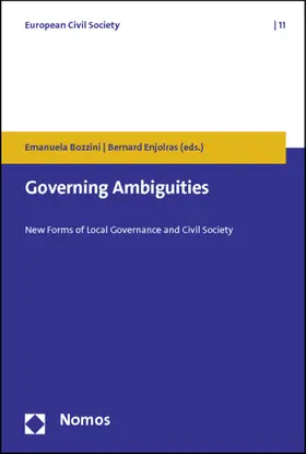 Bozzini / Enjolras |  Governing Ambiguities | Buch |  Sack Fachmedien