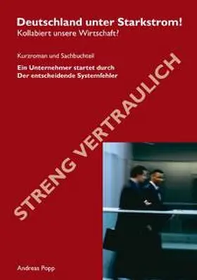 Popp |  Deutschland unter Starkstrom | Buch |  Sack Fachmedien