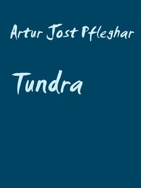 Müller |  Tundra | eBook | Sack Fachmedien