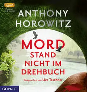 Horowitz |  Mord stand nicht im Drehbuch | Sonstiges |  Sack Fachmedien