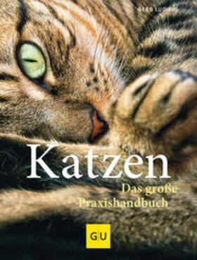 Ludwig |  Katzen. Das große Praxishandbuch | Buch |  Sack Fachmedien