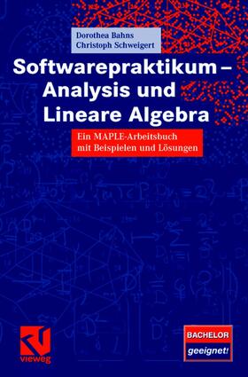 Schweigert / Bahns |  Softwarepraktikum - Analysis und Lineare Algebra | Buch |  Sack Fachmedien