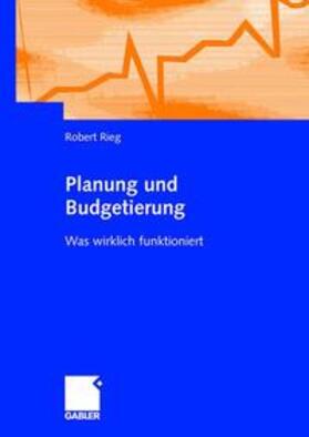 Rieg |  Planung und Budgetierung | Buch |  Sack Fachmedien