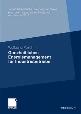 Posch |  Ganzheitliches Energiemanagement für Industriebetriebe | Buch |  Sack Fachmedien