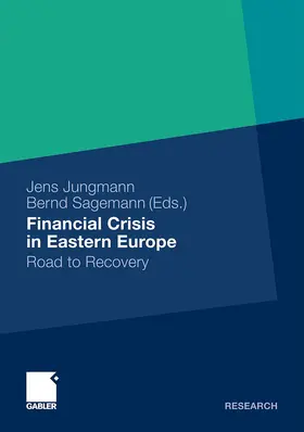 Sagemann / Jungmann | Financial Crisis in Eastern Europe | Buch | 978-3-8349-2740-8 | sack.de