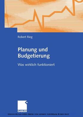 Rieg |  Planung und Budgetierung | eBook | Sack Fachmedien