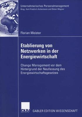Meister |  Etablierung von Netzwerken in der Energiewirtschaft | Buch |  Sack Fachmedien