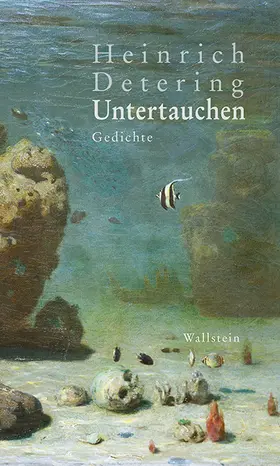 Detering |  Untertauchen | Buch |  Sack Fachmedien