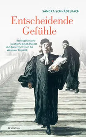 Schnädelbach |  Entscheidende Gefühle | Buch |  Sack Fachmedien