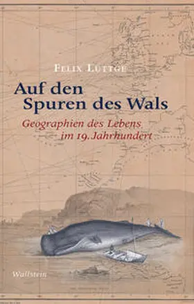 Lüttge |  Auf den Spuren des Wals | Buch |  Sack Fachmedien