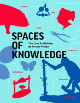 Allemeyer / Baur / Vogel |  Spaces of Knowledge | Buch |  Sack Fachmedien