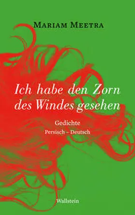 Meetra |  Ich habe den Zorn des Windes gesehen | Buch |  Sack Fachmedien