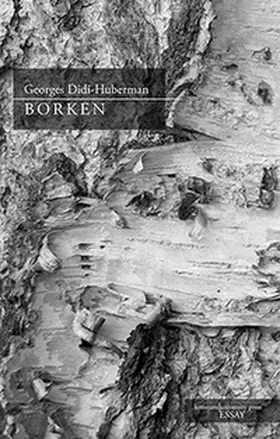 Didi-Huberman | Borken | Buch | 978-3-8353-9026-3 | sack.de