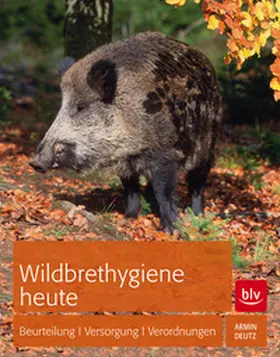 Deutz |  Wildbrethygiene heute | Buch |  Sack Fachmedien