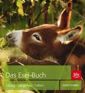 Schmidt |  Das Esel-Buch | Buch |  Sack Fachmedien