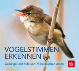 Schulze |  Vogelstimmen erkennen / CD | Sonstiges |  Sack Fachmedien