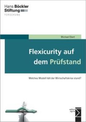 Ebert |  Flexicurity auf dem Prüfstand | Buch |  Sack Fachmedien