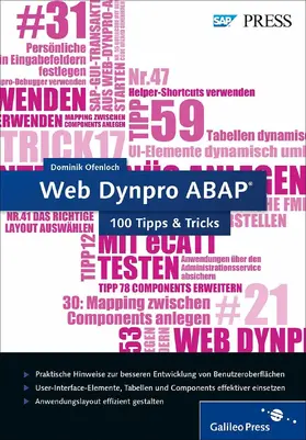 Ofenloch |  Web Dynpro ABAP - 100 Tipps u. Tricks | eBook | Sack Fachmedien