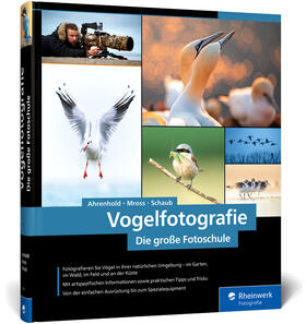 Ahrenhold / Mross / Schaub |  Vogelfotografie | Buch |  Sack Fachmedien