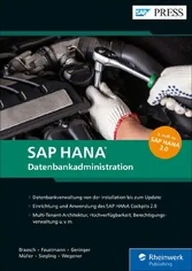 Braasch / Faustmann / Geringer |  SAP HANA - Datenbankadministration | eBook | Sack Fachmedien