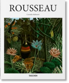 Stabenow |  Rousseau | Buch |  Sack Fachmedien