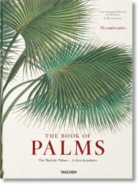 Lack |  Martius. The Book of Palms | Buch |  Sack Fachmedien