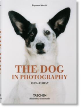 Merritt / Barth |  The Dog in Photography 1839-Today | Buch |  Sack Fachmedien