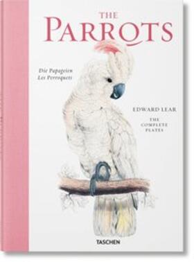 Solinas |  Edward Lear. The Parrots | Buch |  Sack Fachmedien