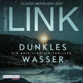 Link |  Dunkles Wasser | Sonstiges |  Sack Fachmedien