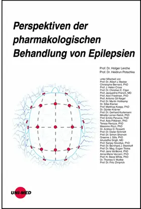 Lerche / Potschka |  Perspektiven der pharmakologischen Behandlung von Epilepsien | eBook | Sack Fachmedien