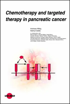 Hilbig / Oettle |  Chemotherapy and targeted therapy in pancreatic cancer | eBook | Sack Fachmedien