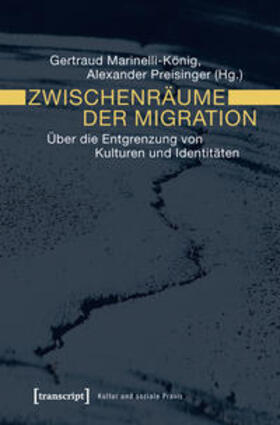 Marinelli-König / Preisinger |  Zwischenräume der Migration | Buch |  Sack Fachmedien