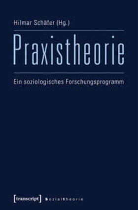 Schäfer |  Praxistheorie | Buch |  Sack Fachmedien