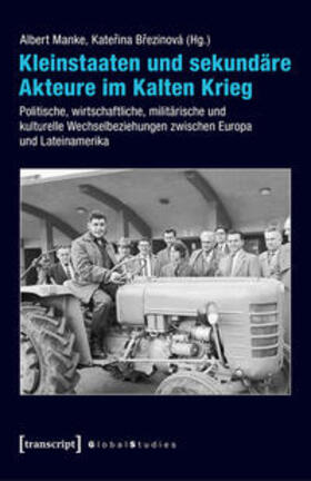Manke / Brezinová |  Kleinstaaten und sekundäre Akteure im Kalten Krieg | Buch |  Sack Fachmedien