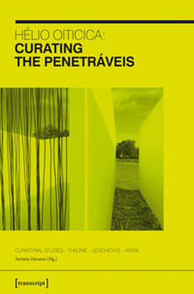 Heraeus |  Hélio Oiticica: Curating the Penetráveis | Buch |  Sack Fachmedien