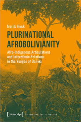 Heck |  Plurinational Afrobolivianity | Buch |  Sack Fachmedien