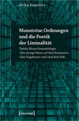 Hammer |  Monströse Ordnungen und die Poetik der Liminalität | Buch |  Sack Fachmedien