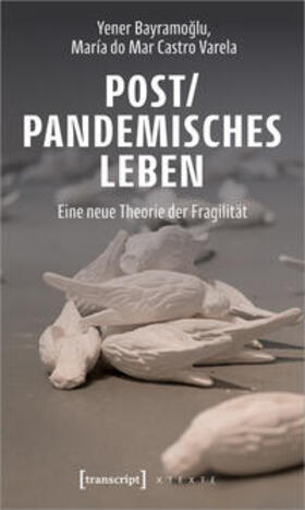 Bayramoglu / Castro Varela / Bayramog?lu |  Post/pandemisches Leben | Buch |  Sack Fachmedien