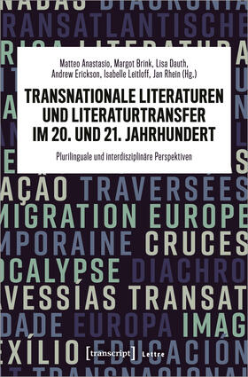 Anastasio / Brink / Dauth |  Transnationale Literaturen und Literaturtransfer im 20. und 21. Jahrhundert | Buch |  Sack Fachmedien