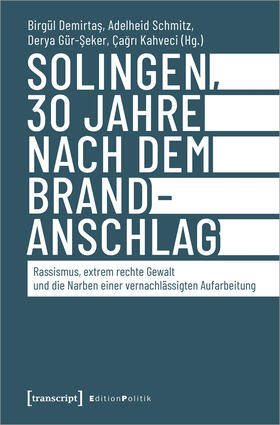 Demirtas / Schmitz / Kahveci |  Solingen, 30 Jahre nach dem Brandanschlag | Buch |  Sack Fachmedien