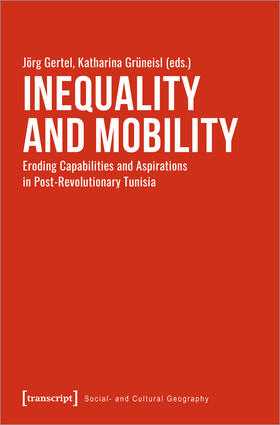 Gertel / Grüneisl |  Inequality and Mobility | Buch |  Sack Fachmedien