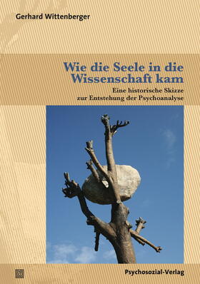 Wittenberger |  Wie die Seele in die Wissenschaft kam | Buch |  Sack Fachmedien