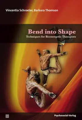 Schroeter / Thomson |  Bend into Shape | Buch |  Sack Fachmedien