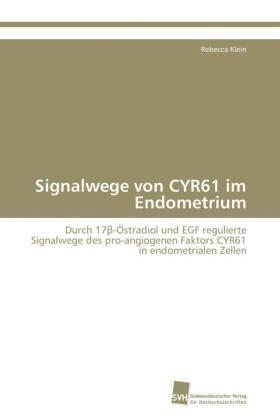 Klein |  Signalwege von CYR61 im Endometrium | Buch |  Sack Fachmedien