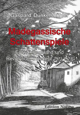 Dünkelsbühler |  Madegassische Schattenspiele | Buch |  Sack Fachmedien