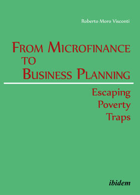 Roberto Moro Visconti |  From Microfinance to Business Planning | Buch |  Sack Fachmedien